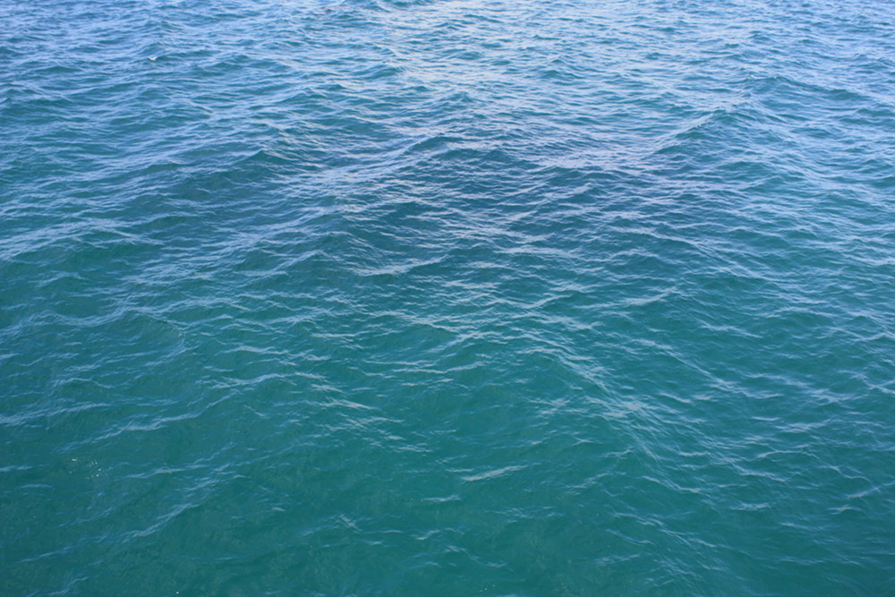 close up of the surface of the pacific ocean