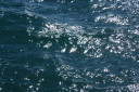 close up of the surface of the pacific ocean